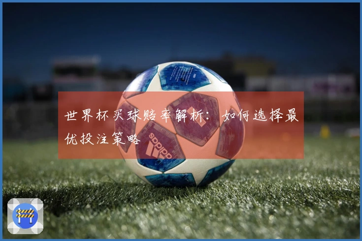 世界杯买球赔率解析：如何选择最优投注策略