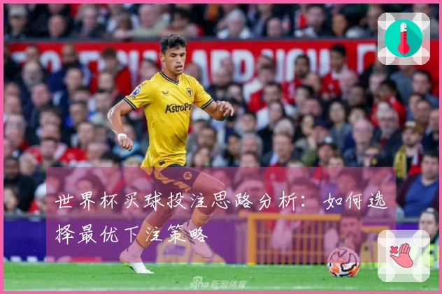 世界杯买球投注思路分析：如何选择最优下注策略