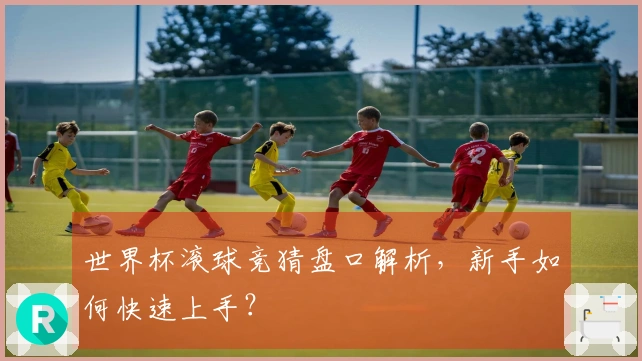 世界杯滚球竞猜盘口解析，新手如何快速上手？