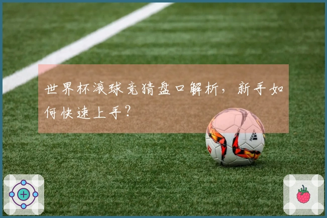 世界杯滚球竞猜盘口解析，新手如何快速上手？