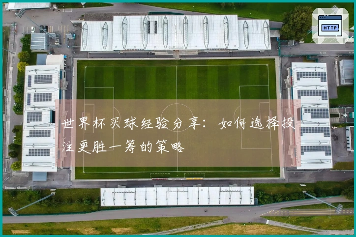 世界杯买球经验分享：如何选择投注更胜一筹的策略