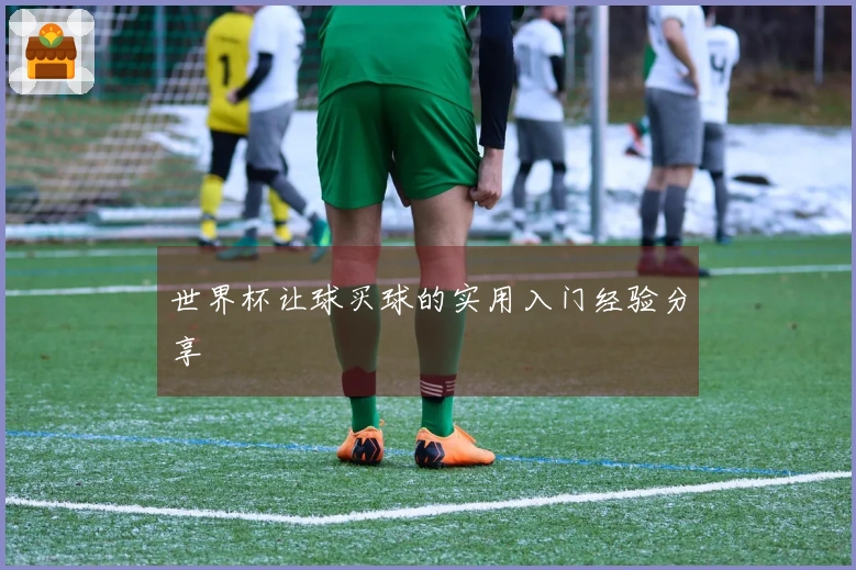 世界杯让球买球的实用入门经验分享