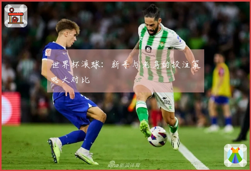 世界杯滚球：新手与老鸟的投注策略大对比